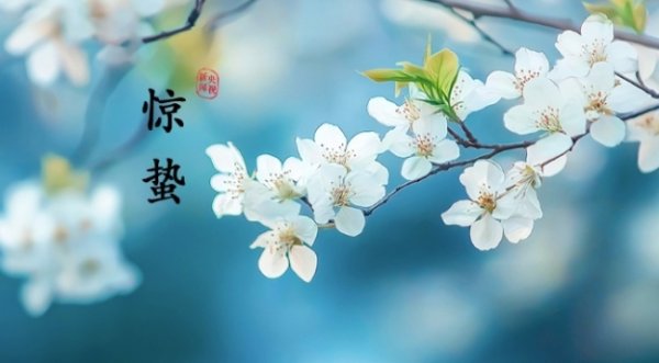 途乐证券 惊蛰：春雷来信，花开有期