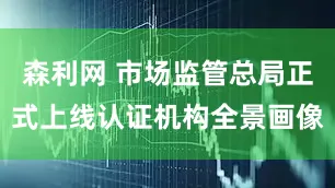 森利网 市场监管总局正式上线认证机构全景画像