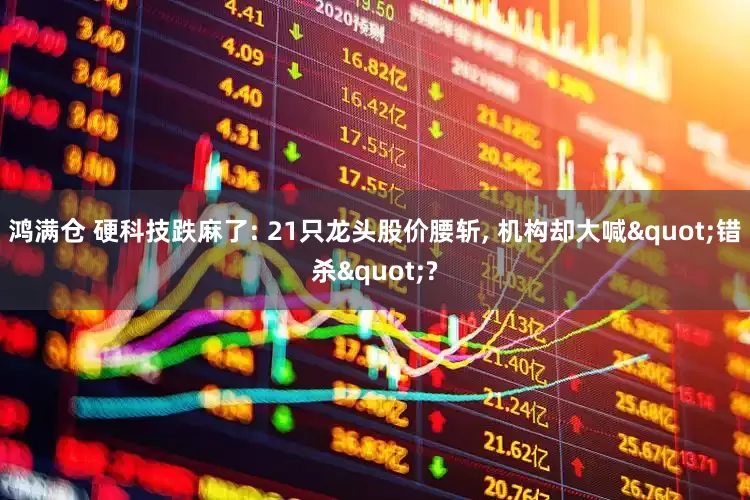 鸿满仓 硬科技跌麻了: 21只龙头股价腰斩, 机构却大喊"错杀"?